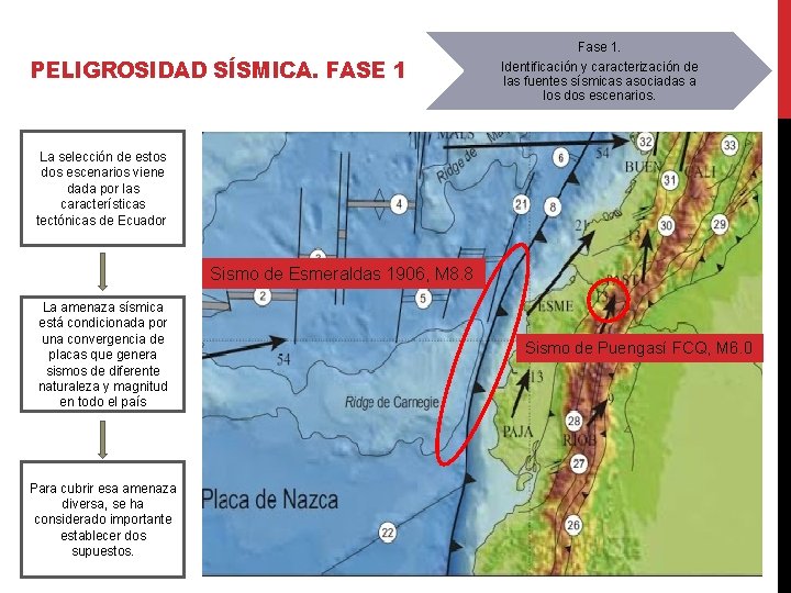 PELIGROSIDAD SÍSMICA. FASE 1 Fase 1. Identificación y caracterización de las fuentes sísmicas asociadas