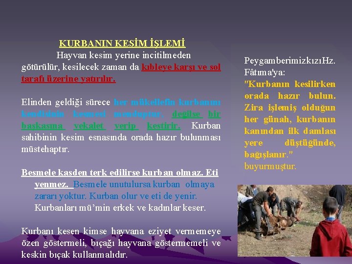 KURBANIN KESİM İŞLEMİ Hayvan kesim yerine incitilmeden götürülür, kesilecek zaman da kıbleye karşı ve