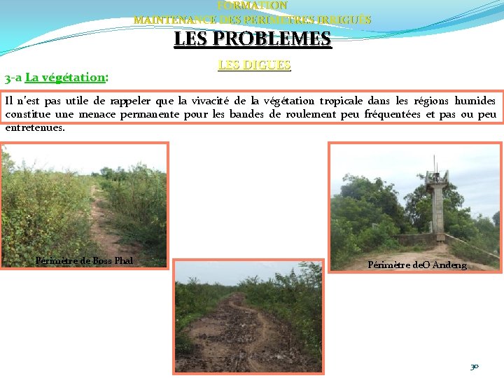FORMATION MAINTENANCE DES PERIMETRES IRRIGUÈS LES PROBLEMES 3 -a La végétation: LES DIGUES Il