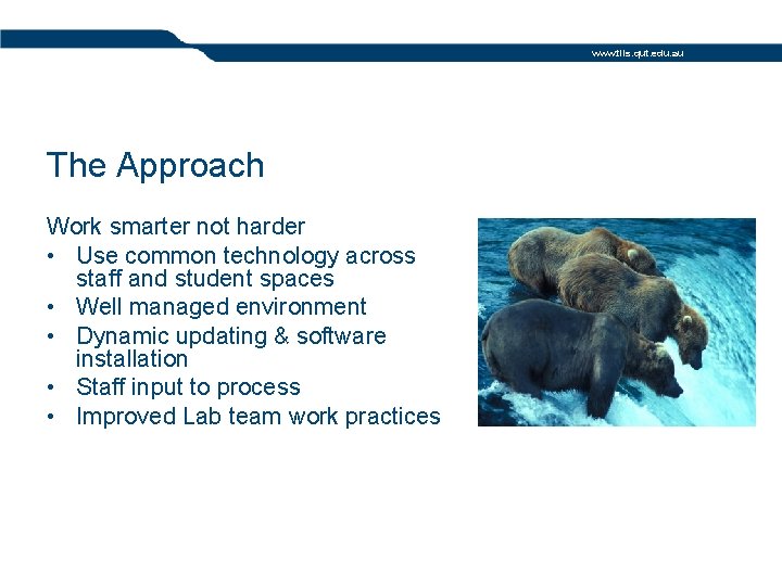 www. tils. qut. edu. au The Approach Work smarter not harder • Use common