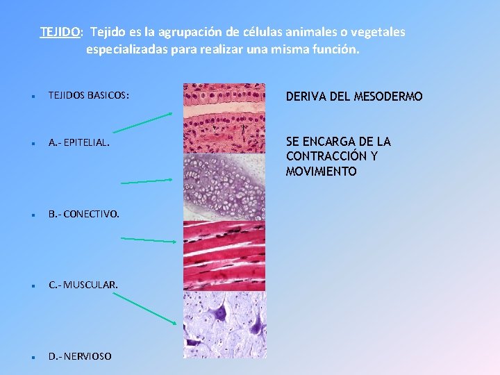 TEJIDO: Tejido es la agrupación de células animales o vegetales especializadas para realizar una