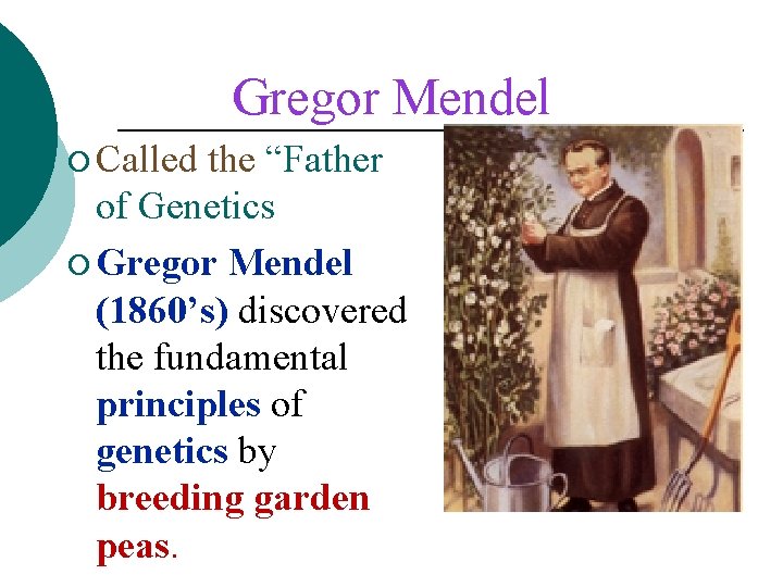 Gregor Mendel ¡ Called the “Father of Genetics ¡ Gregor Mendel (1860’s) discovered the