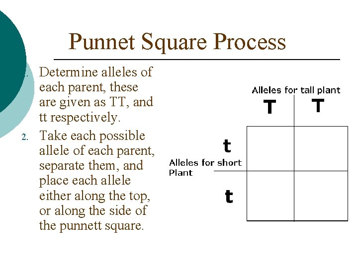 Punnet Square Process 1. 2. Determine alleles of each parent, these are given as