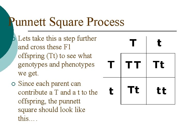 Punnett Square Process ¡ ¡ Lets take this a step further and cross these