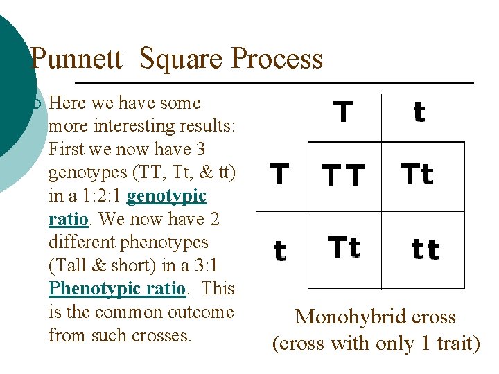 Punnett Square Process ¡ Here we have some more interesting results: First we now