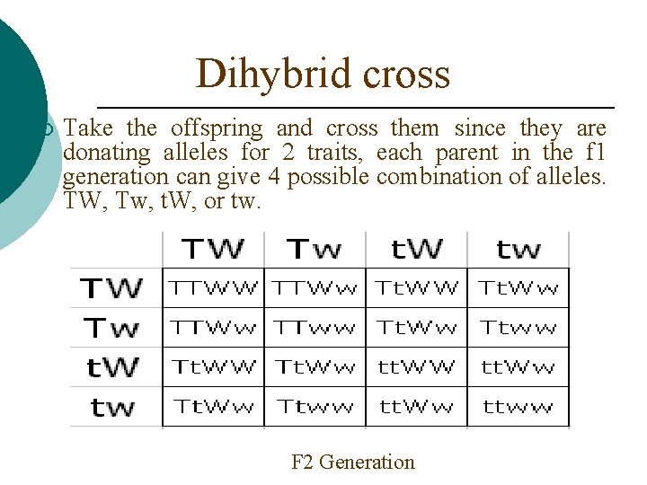 Dihybrid cross ¡ Take the offspring and cross them since they are donating alleles