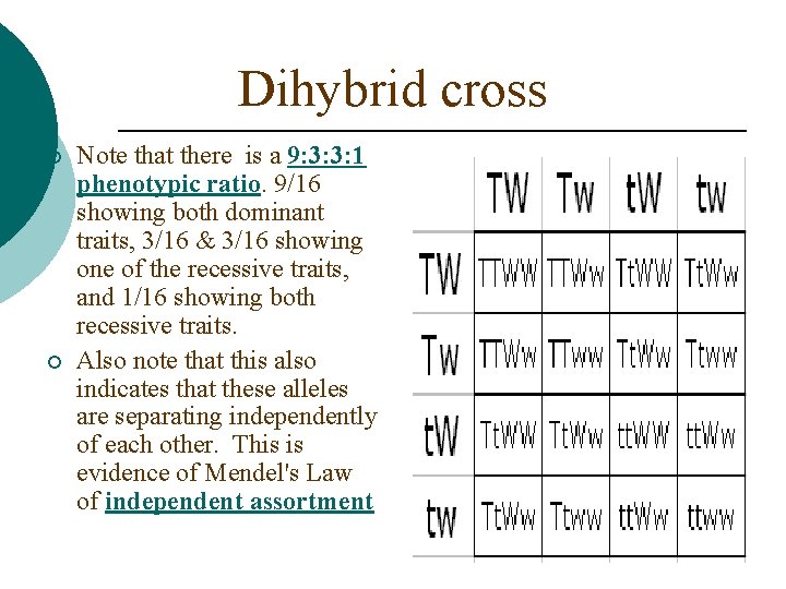 Dihybrid cross ¡ ¡ Note that there is a 9: 3: 3: 1 phenotypic