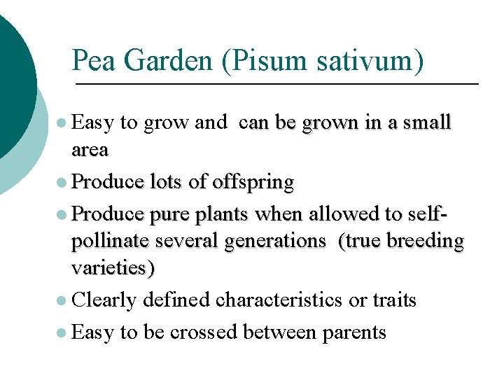 Pea Garden (Pisum sativum) Easy to grow and can be grown in a small