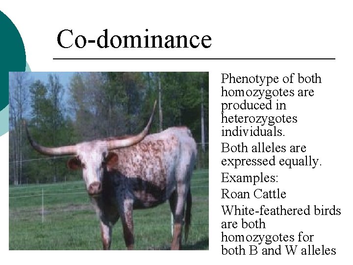 Co-dominance Phenotype of both homozygotes are produced in heterozygotes individuals. Both alleles are expressed