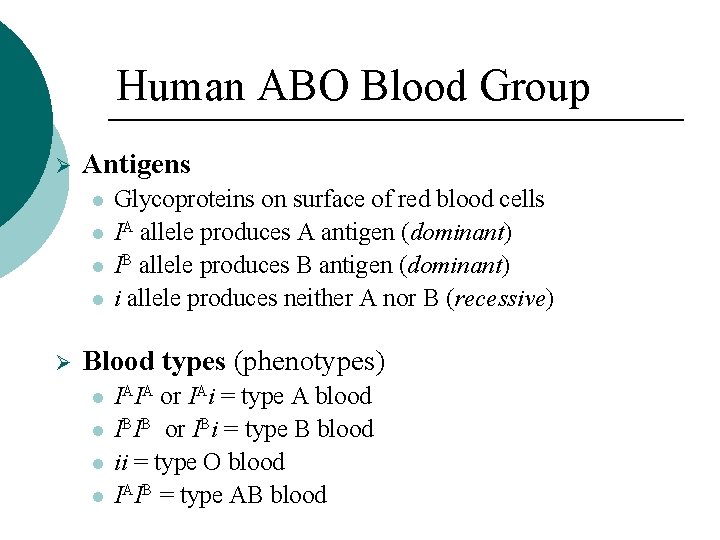 Human ABO Blood Group Ø Antigens Ø Glycoproteins on surface of red blood cells
