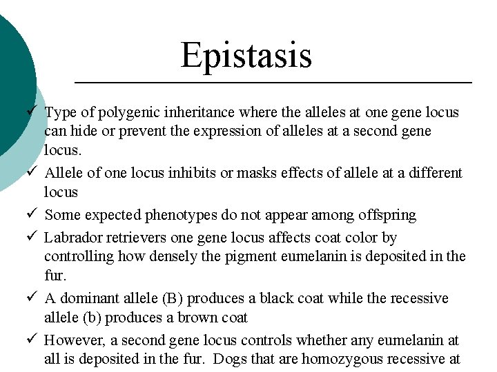 Epistasis ü Type of polygenic inheritance where the alleles at one gene locus can