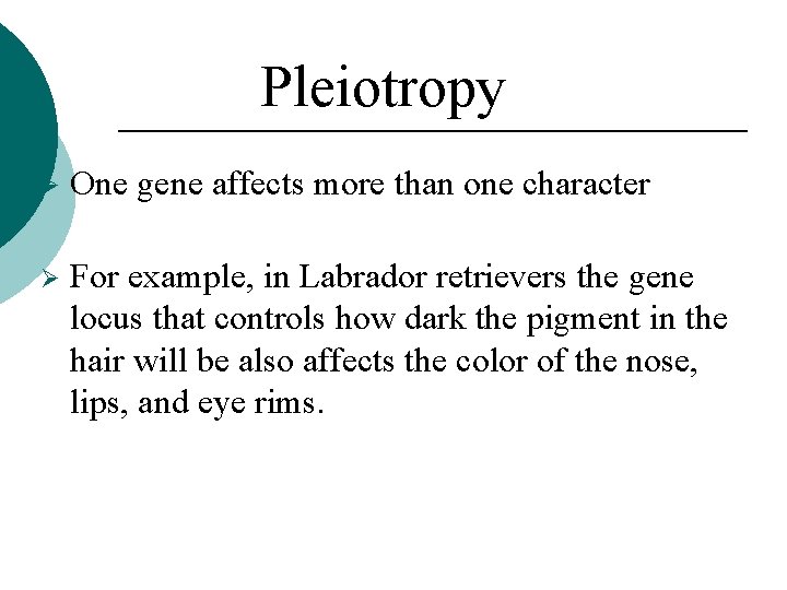 Pleiotropy Ø One gene affects more than one character Ø For example, in Labrador