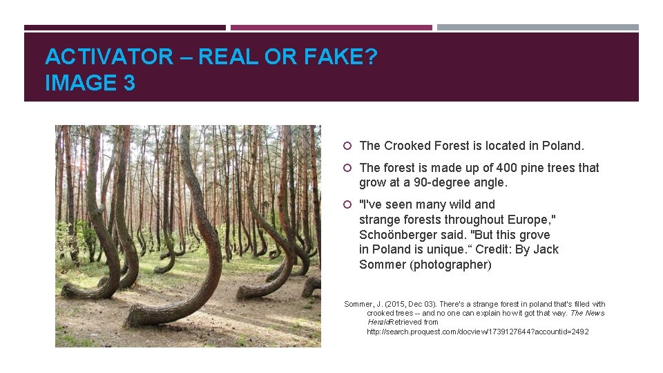 ACTIVATOR – REAL OR FAKE? IMAGE 3 The Crooked Forest is located in Poland.