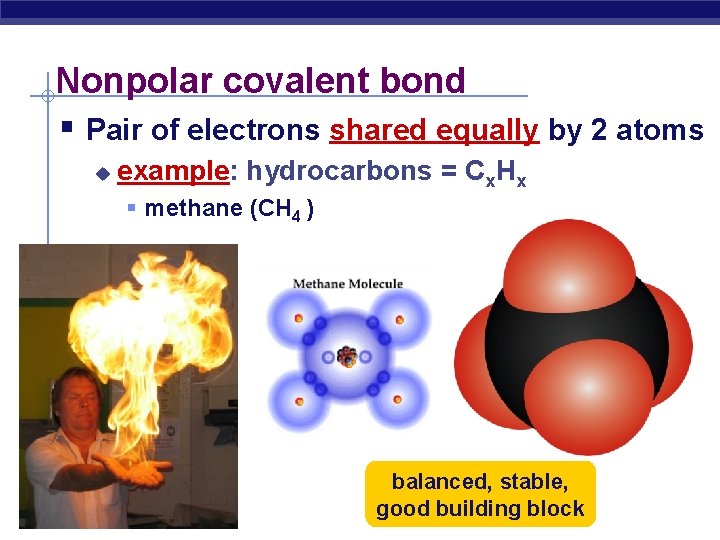 Nonpolar covalent bond § Pair of electrons shared equally by 2 atoms u example: