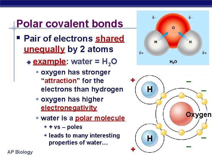 Polar covalent bonds § Pair of electrons shared unequally by 2 atoms u example: