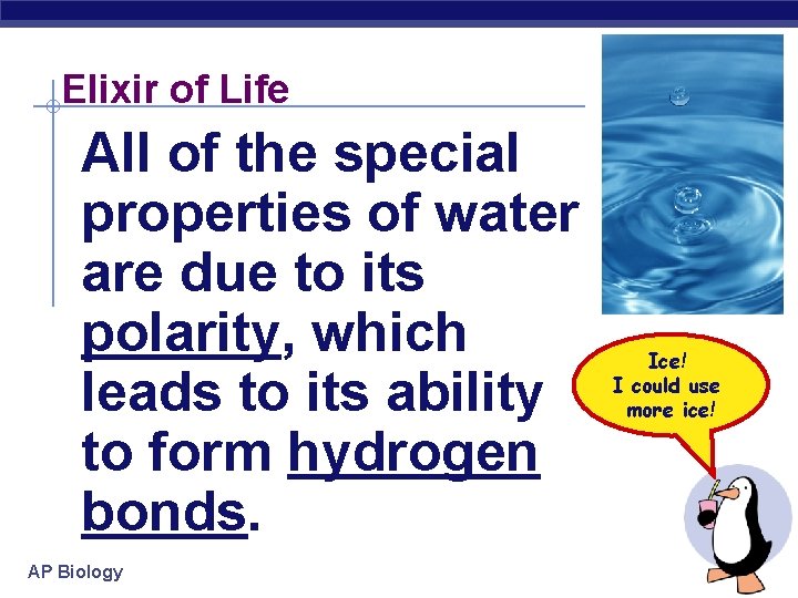 Elixir of Life All of the special properties of water are due to its