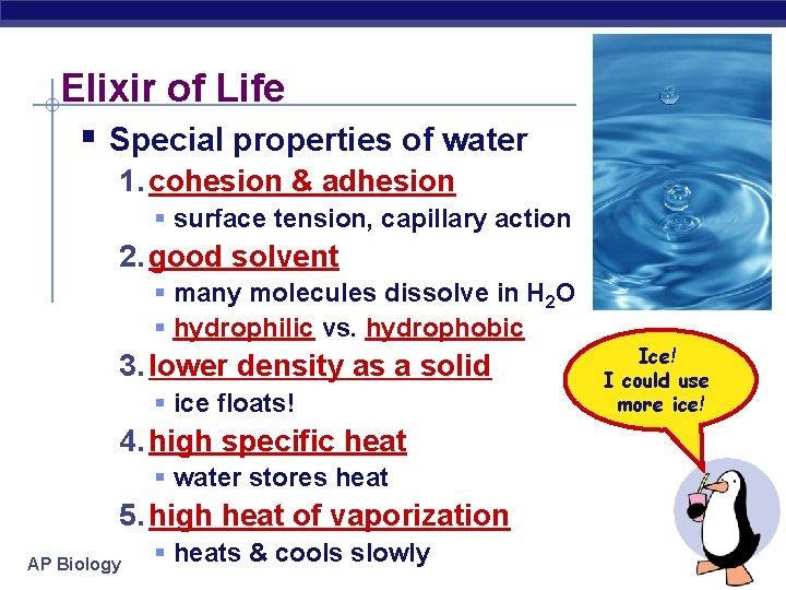 Elixir of Life § Special properties of water 1. cohesion & adhesion § surface