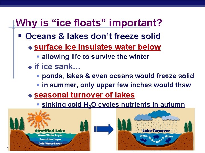 Why is “ice floats” important? § Oceans & lakes don’t freeze solid u surface