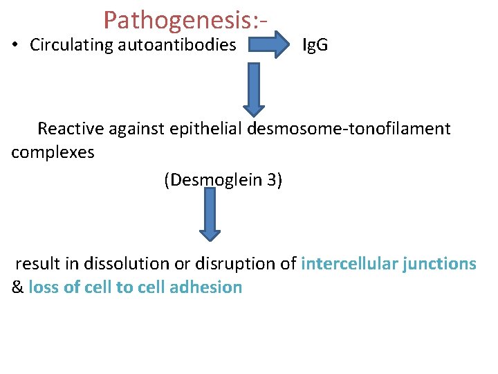 Pathogenesis: - • Circulating autoantibodies Ig. G Reactive against epithelial desmosome-tonofilament complexes (Desmoglein 3)