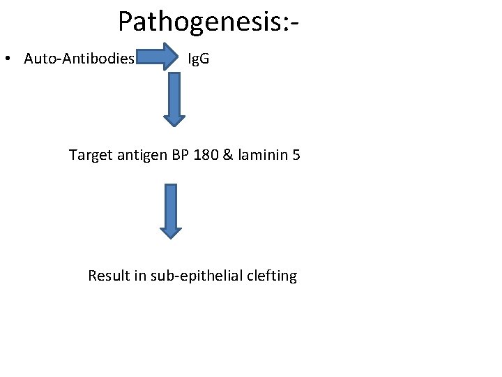 Pathogenesis: • Auto-Antibodies Ig. G Target antigen BP 180 & laminin 5 Result in