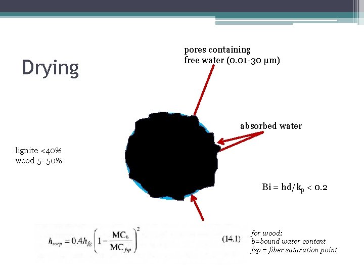 Drying pores containing free water (0. 01 -30 μm) absorbed water lignite <40% wood