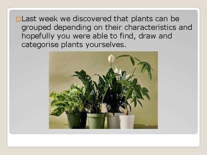 �Last week we discovered that plants can be grouped depending on their characteristics and