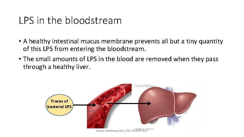 LPS in the bloodstream • A healthy intestinal mucus membrane prevents all but a