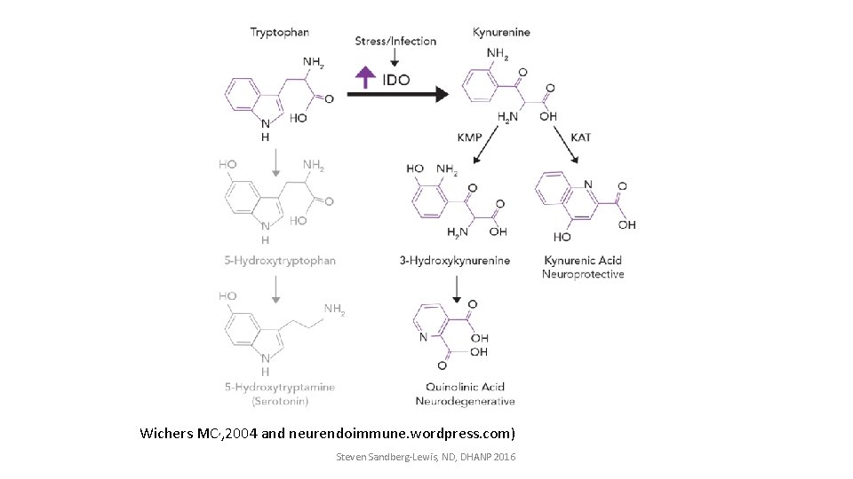 Wichers MC, , 2004 and neurendoimmune. wordpress. com) Steven Sandberg-Lewis, ND, DHANP 2016 