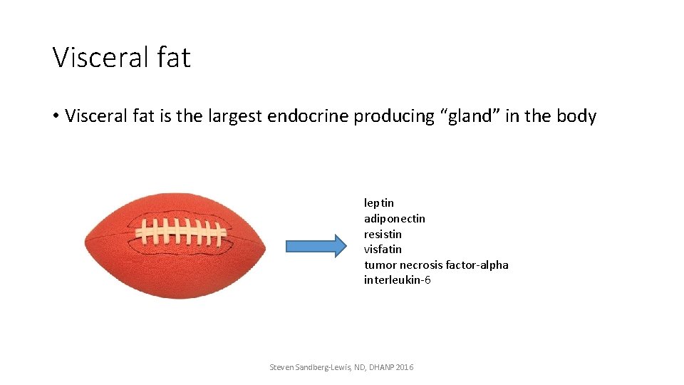 Visceral fat • Visceral fat is the largest endocrine producing “gland” in the body
