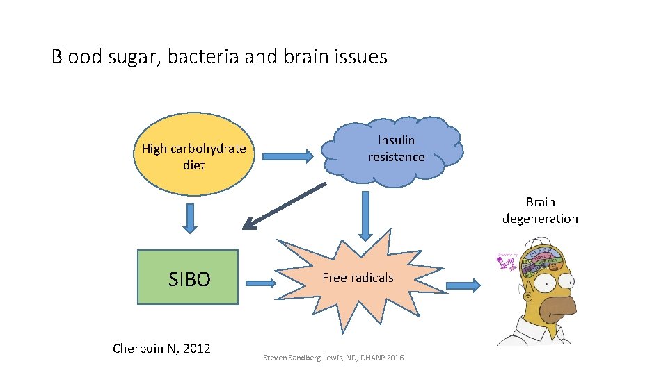 Blood sugar, bacteria and brain issues High carbohydrate diet Insulin resistance Brain degeneration SIBO