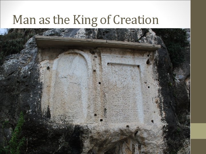 Man as the King of Creation 