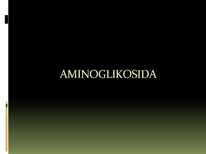 AMINOGLIKOSIDA 