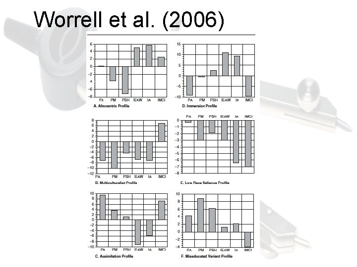 Worrell et al. (2006) 