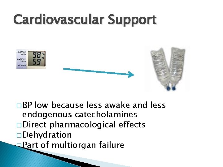 Cardiovascular Support � BP low because less awake and less endogenous catecholamines � Direct