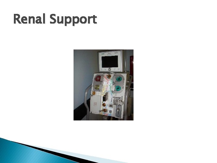 Renal Support 