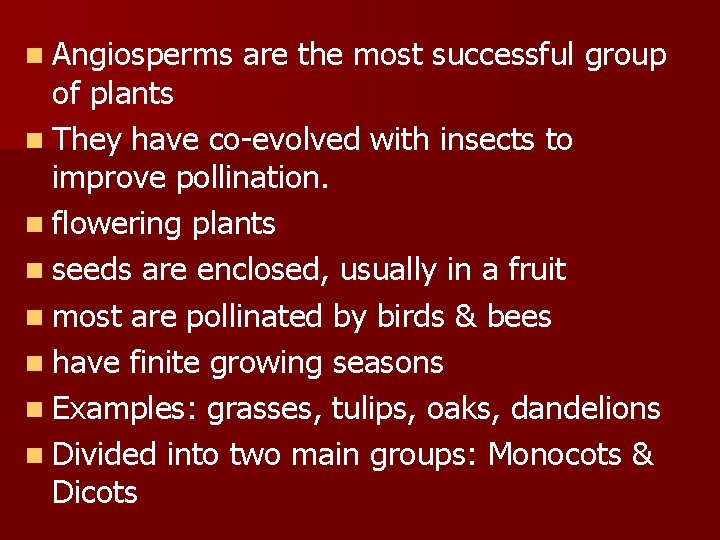n Angiosperms are the most successful group of plants n They have co-evolved with