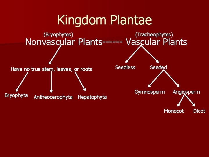 Kingdom Plantae (Bryophytes) (Tracheophytes) Nonvascular Plants------ Vascular Plants Have no true stem, leaves, or