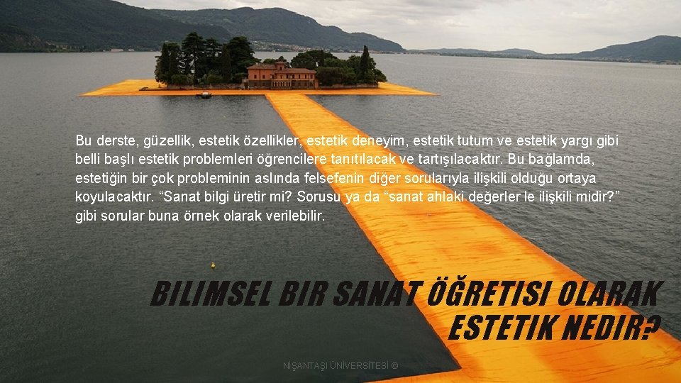 Bu derste, güzellik, estetik özellikler, estetik deneyim, estetik tutum ve estetik yargı gibi belli