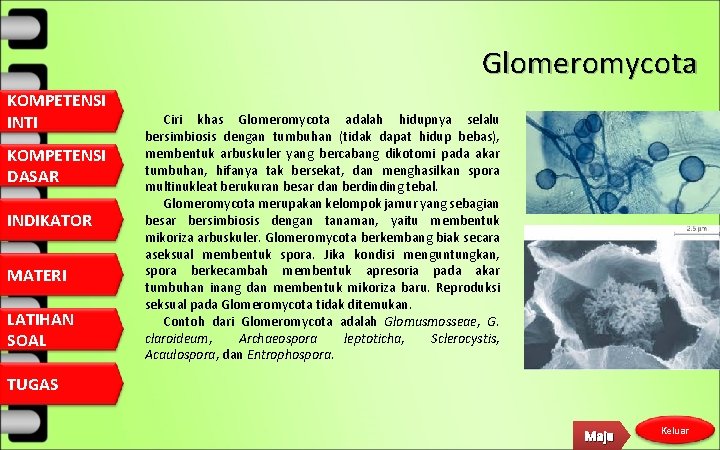 Glomeromycota KOMPETENSI INTI KOMPETENSI DASAR INDIKATOR MATERI LATIHAN SOAL Ciri khas Glomeromycota adalah hidupnya