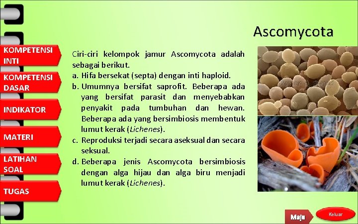 Ascomycota KOMPETENSI INTI KOMPETENSI DASAR INDIKATOR MATERI LATIHAN SOAL TUGAS Ciri-ciri kelompok jamur Ascomycota