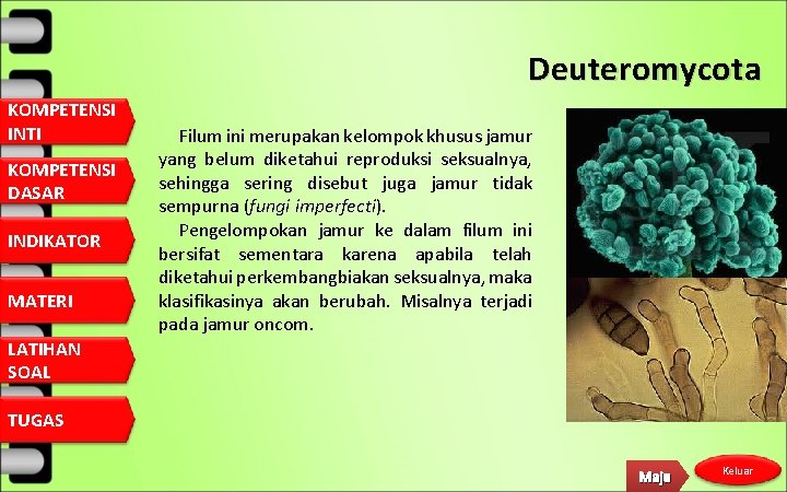 Deuteromycota KOMPETENSI INTI KOMPETENSI DASAR INDIKATOR MATERI LATIHAN SOAL Filum ini merupakan kelompok khusus