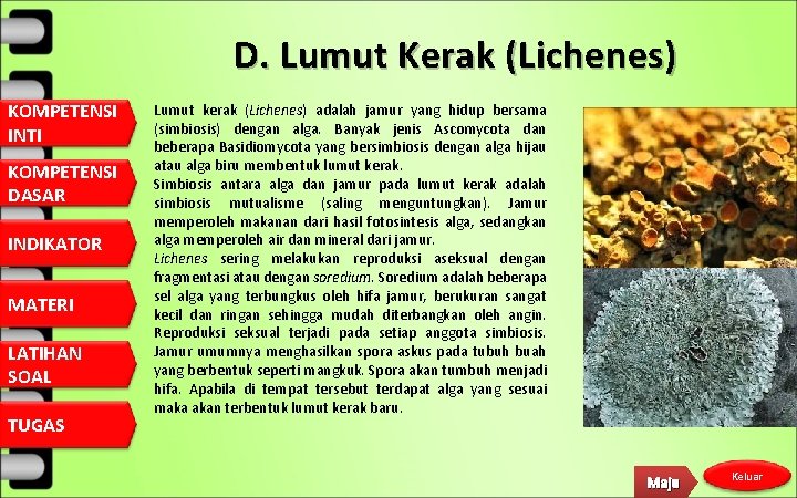 D. Lumut Kerak (Lichenes) KOMPETENSI INTI KOMPETENSI DASAR INDIKATOR MATERI LATIHAN SOAL TUGAS Lumut