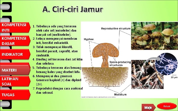 A. Ciri-ciri Jamur KOMPETENSI INTI KOMPETENSI DASAR INDIKATOR MATERI LATIHAN SOAL TUGAS 1. Tubuhnya