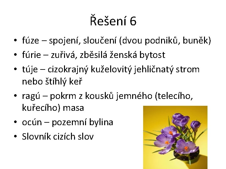 Řešení 6 • fúze – spojení, sloučení (dvou podniků, buněk) • fúrie – zuřivá,