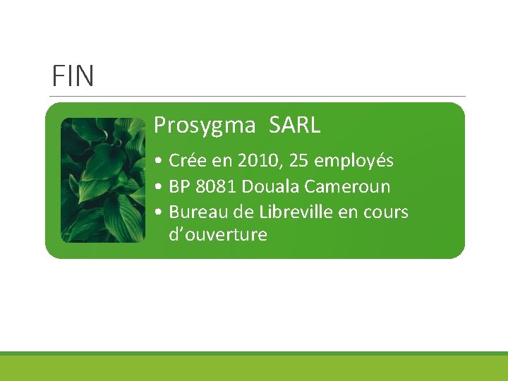 FIN Prosygma SARL • Crée en 2010, 25 employés • BP 8081 Douala Cameroun