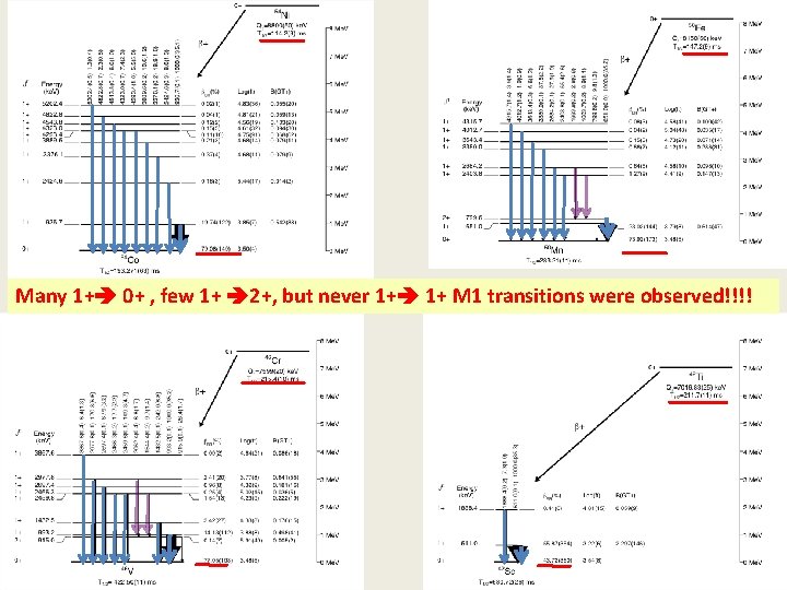 Many 1+ 0+ , few 1+ 2+, but never 1+ 1+ M 1 transitions