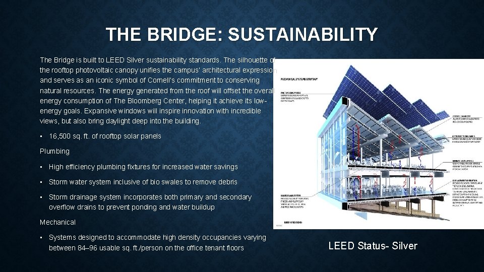 THE BRIDGE: SUSTAINABILITY The Bridge is built to LEED Silver sustainability standards. The silhouette