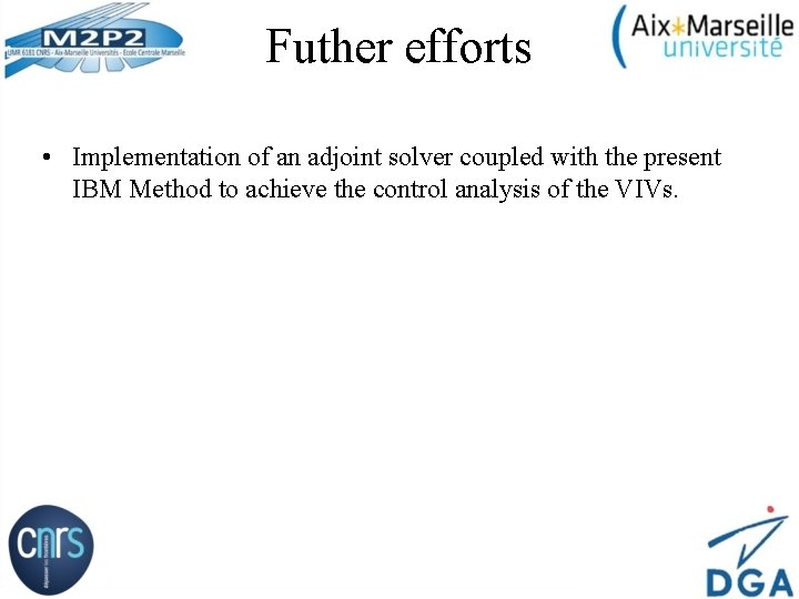 Futher efforts • Implementation of an adjoint solver coupled with the present IBM Method