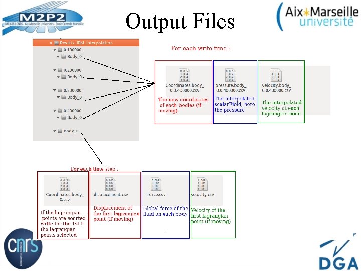 Output Files 