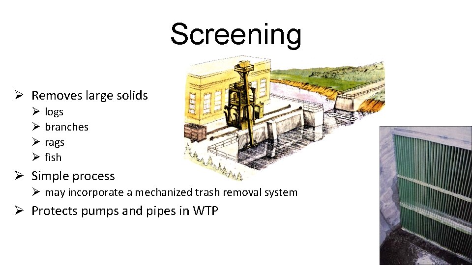 Screening Ø Removes large solids Ø Ø logs branches rags fish Ø Simple process